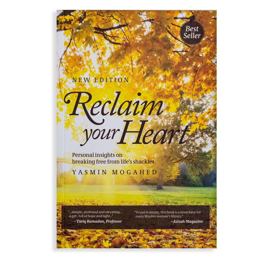 reclaim your heart book review