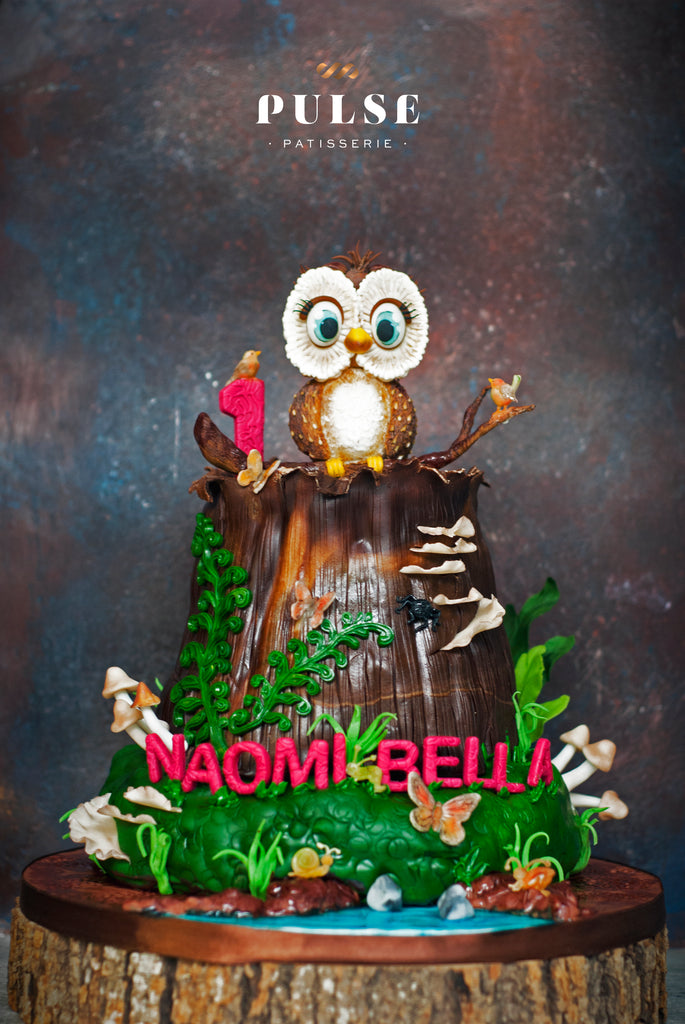 Owl Woodlands Cake