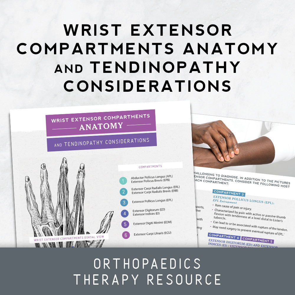 wrist extensor compartments