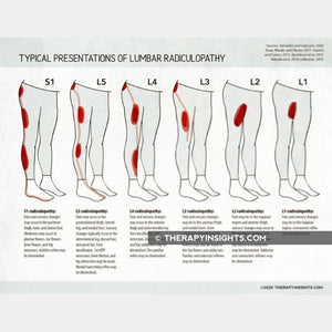 Lumbar Radiculopathy Typical Presentations by Level – Therapy Insights