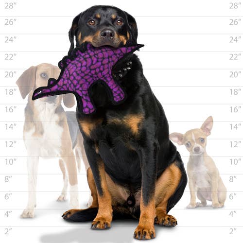 Tuffy Jr Dinosaur Stegosaurus, Durable