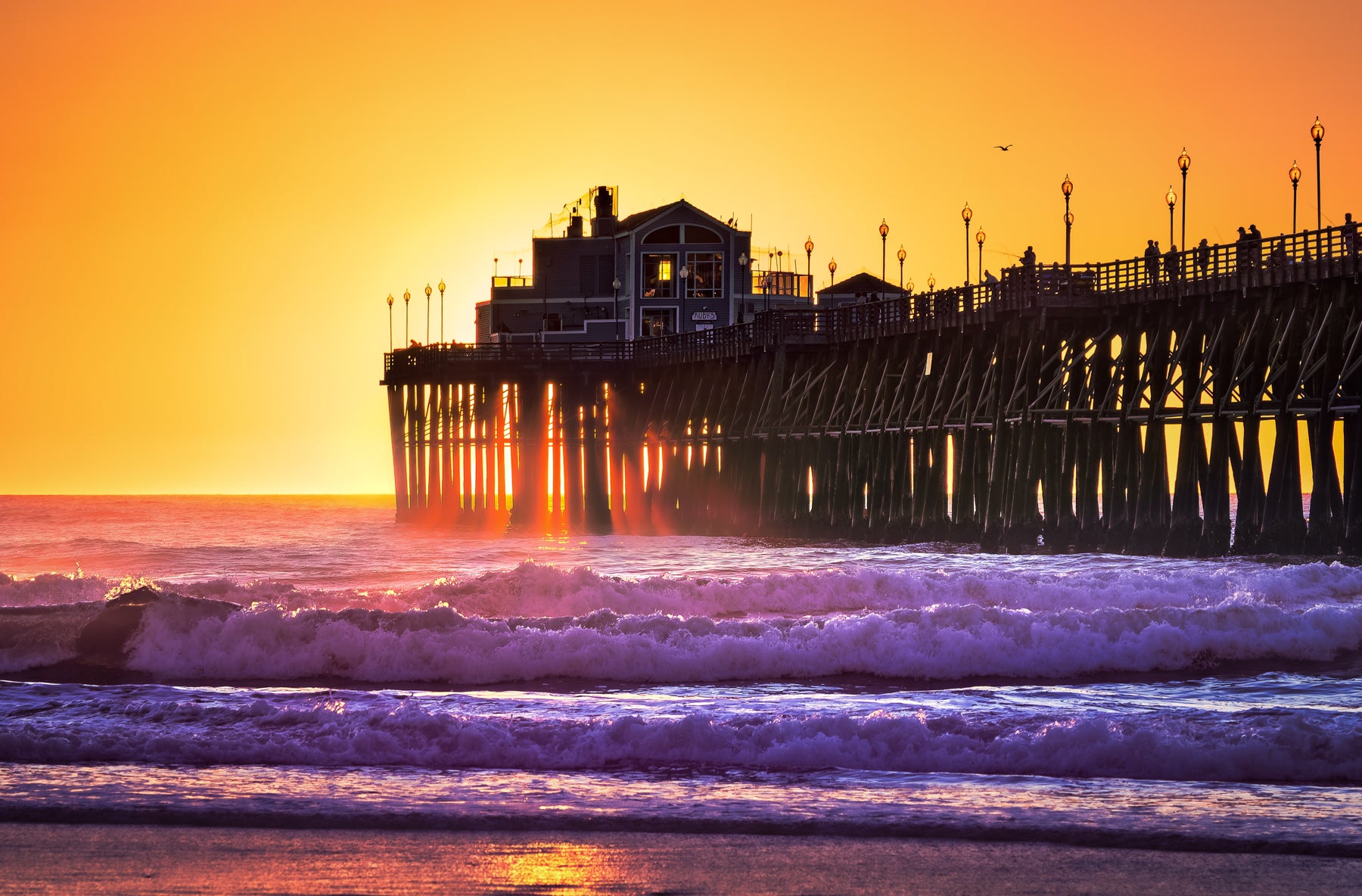 Pier Gold Oceanside Pier, Oceanside, CA - Craig Meyer Photography