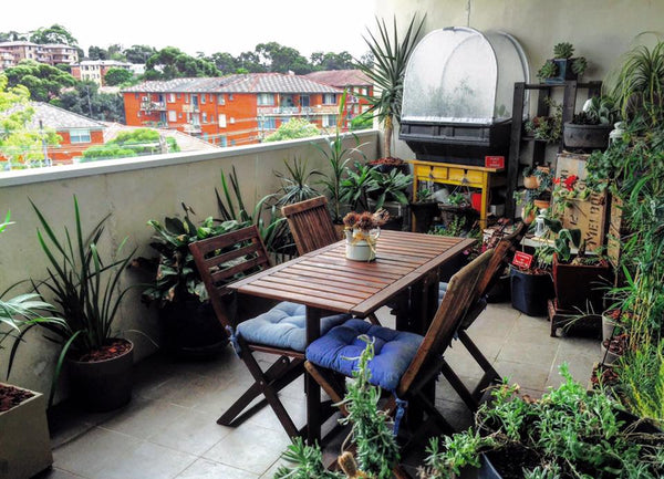 vegepod raised garden bed on a balcony