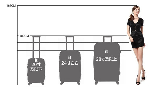 29 inch trolley bag