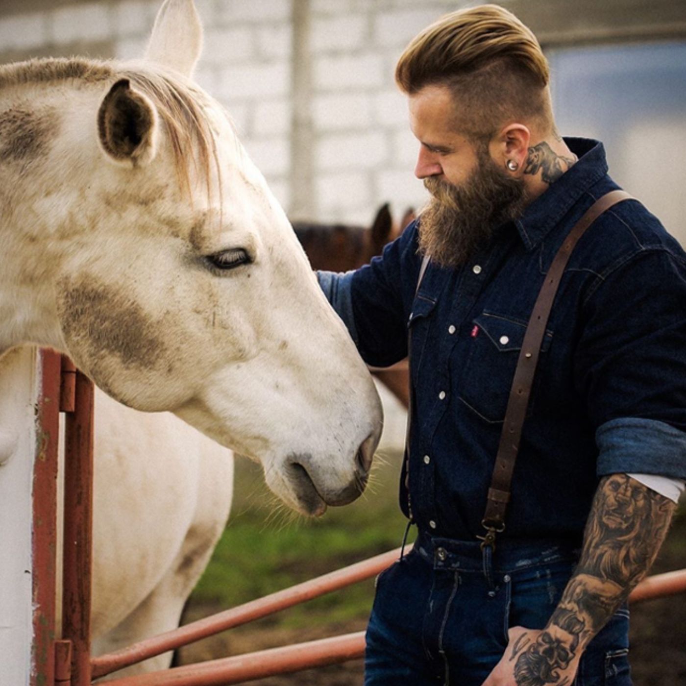 Man petting a white horse wearing leather suspenders and a full denim outfit