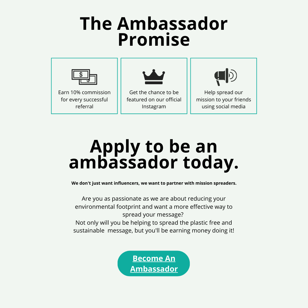 Ambassador Page