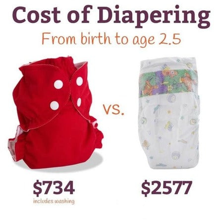 Cost Difference between reusable and disposable Diapers