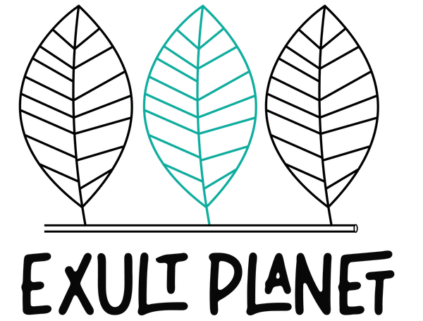 Exult Planet Coupons and Promo Code