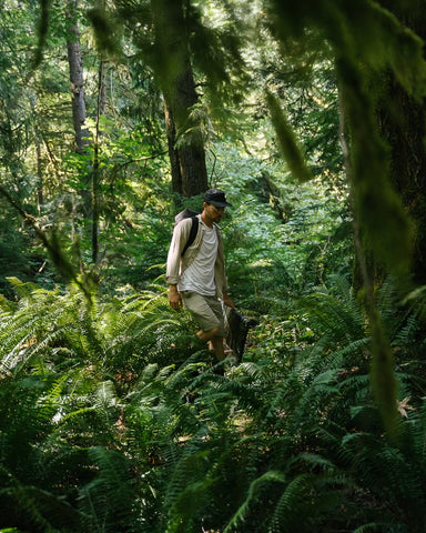 Anian x Jordan Fritz Fine Art in Old Growth Forest on Vancouver Island
