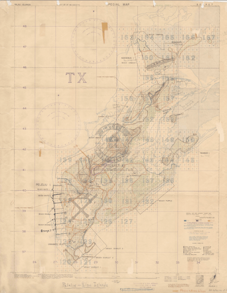 Peleliu Landing Beaches and Front Lines Battle Map – Battle Archives