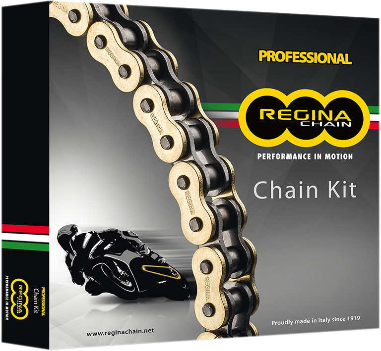 REGINA Chain and Sprocket Kit   Honda  Trx 400EX   99 04