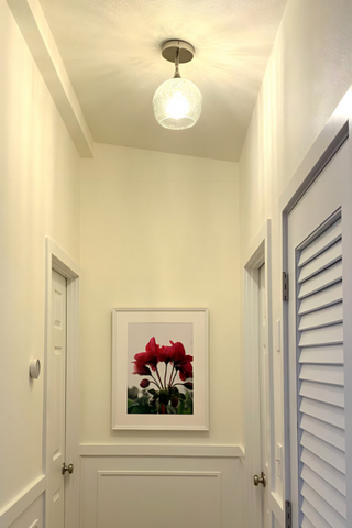 Photo of clear glass semiflush globe on the ceiling in a while hallway with a red floral art piece on the wall