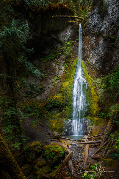 Waterfall in Olympic National Park