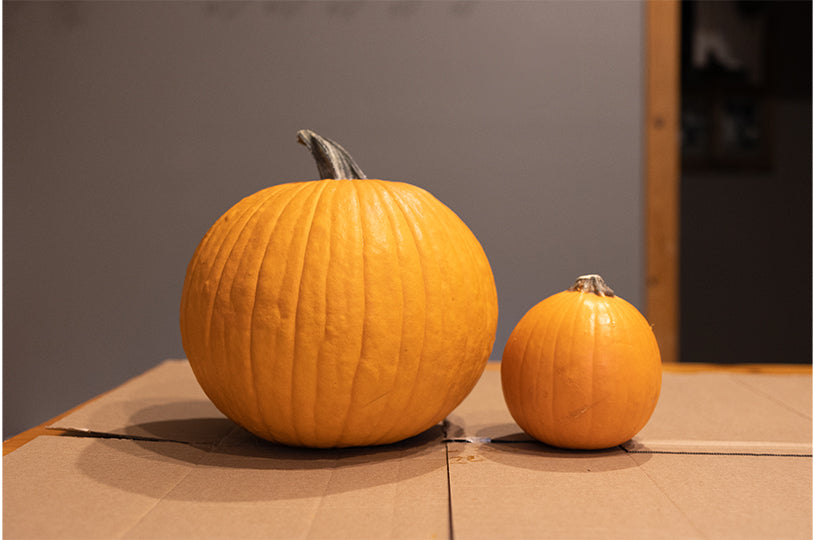 AlpenGlow Mini Jack-o-Lantern How To