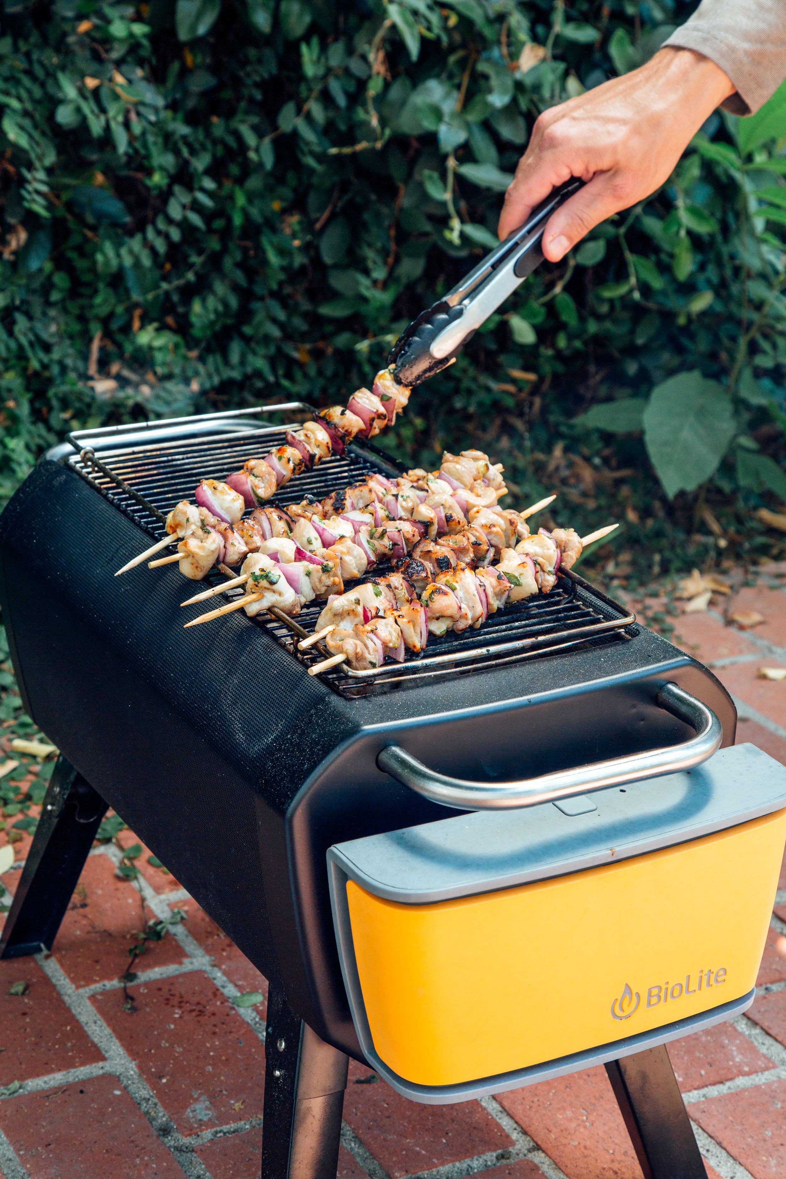 FirePit Skewer Grilling