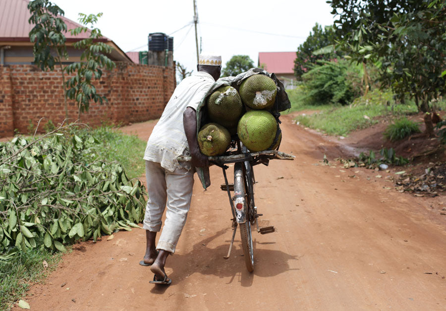 Smallholder farmer pushing cart