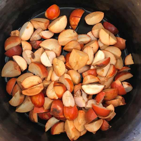 avocado dyeing by Rita Summers 3