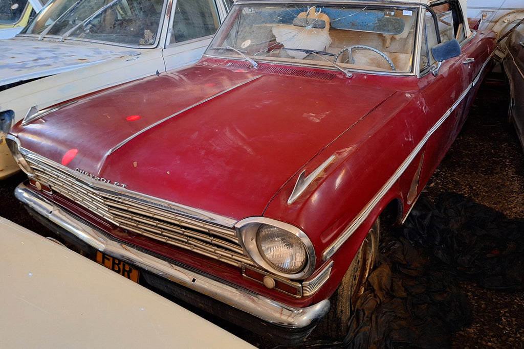 Louis Coetzer barn find