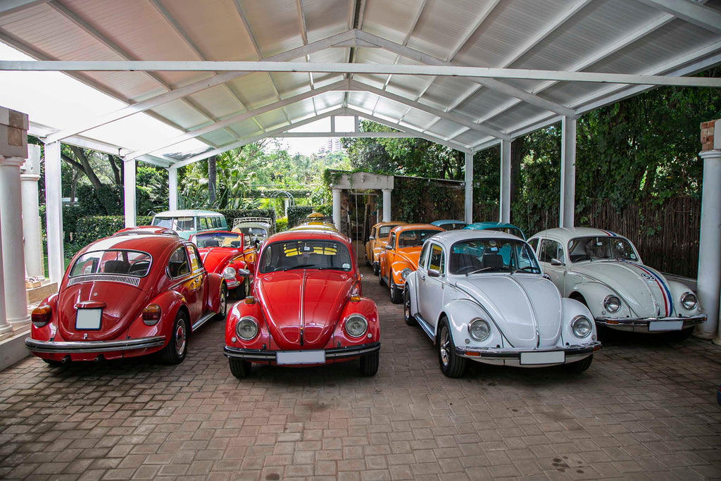 vw beetle collection