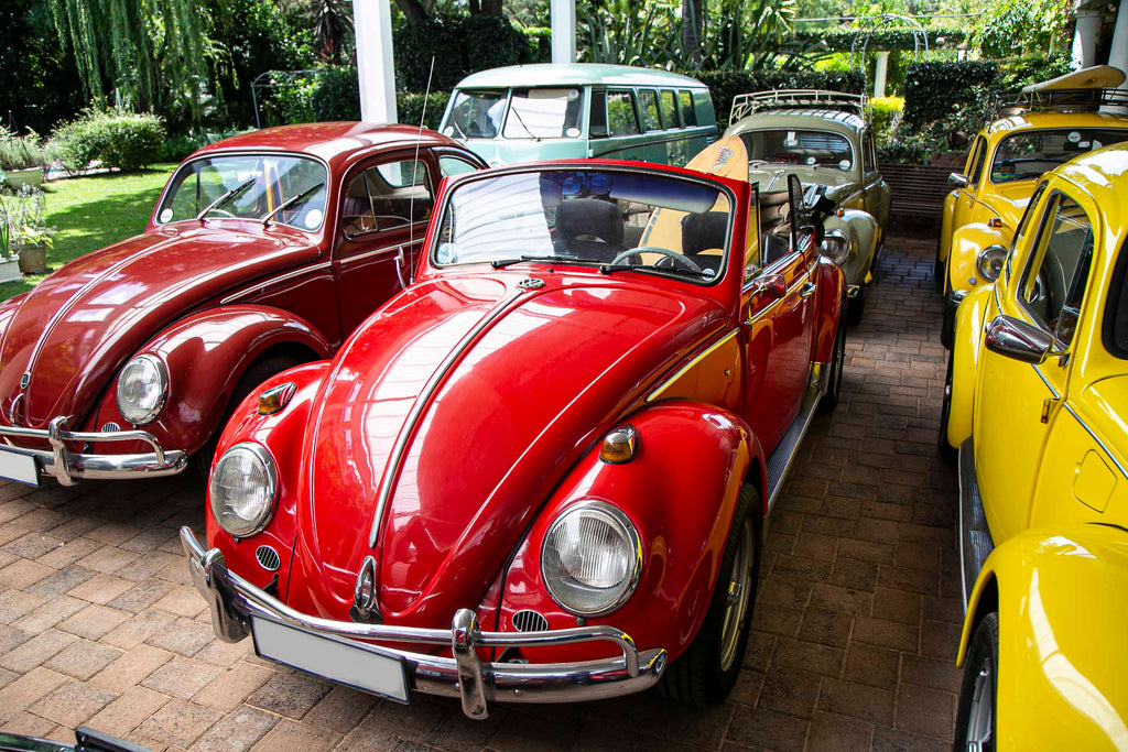 VW Beetle collection