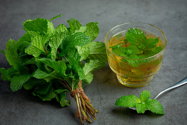 peppermint leaves and peppermint teat