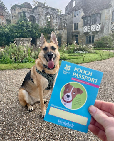 Rxydog SouthEast National Trust PoochPassport Ruffnek Instagram