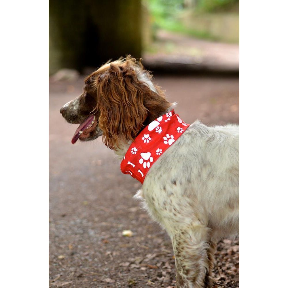 dog neck bandana