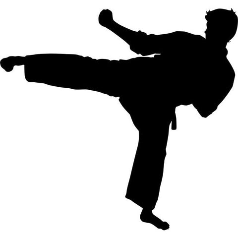 Roundhouse Kick Karate Stencil