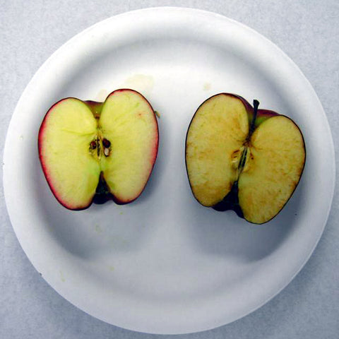 antioxidant effect on an apple