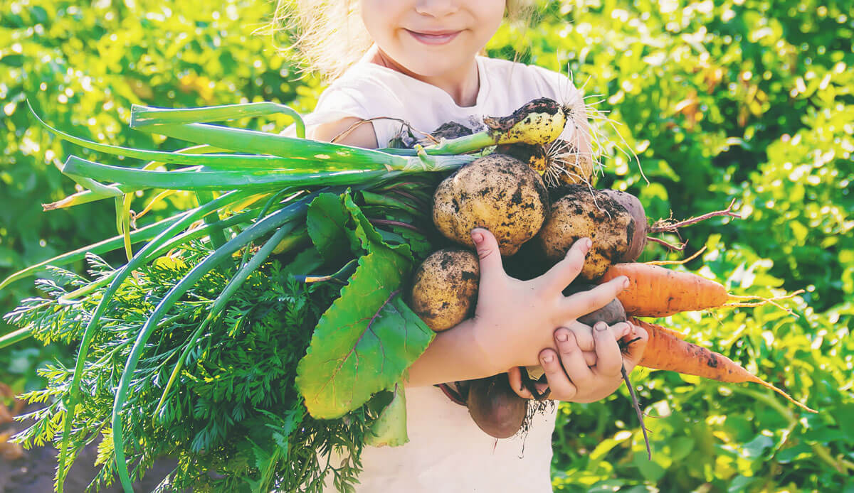 gardening for beginners