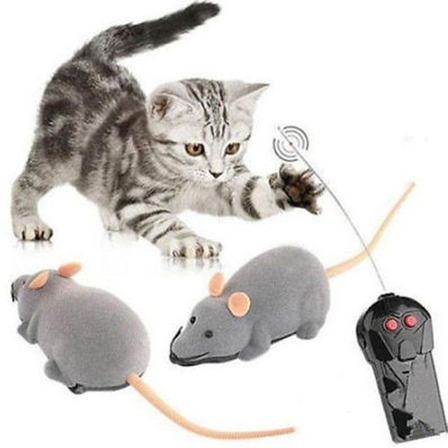 best remote control mouse cat toy