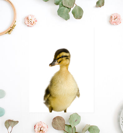 duckling print