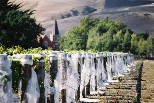 Dunnolly Estate, Church Road, Waipara Valley