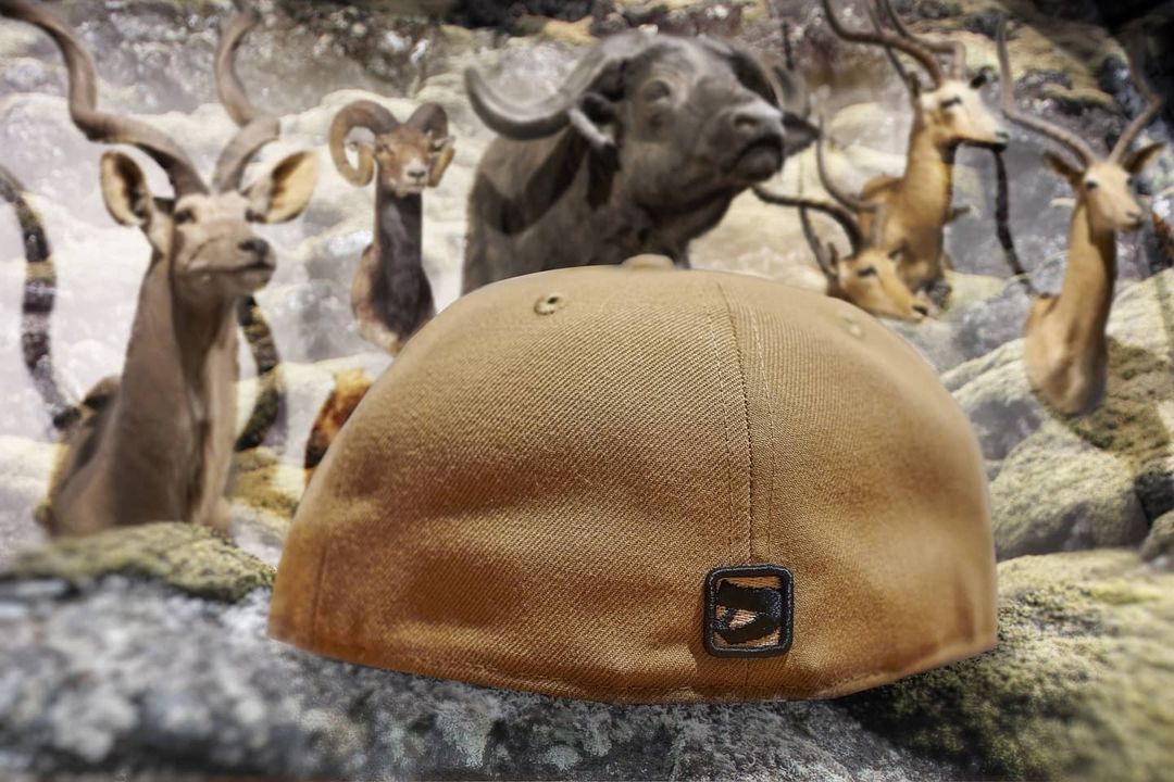 BigHorns Fitted Hat