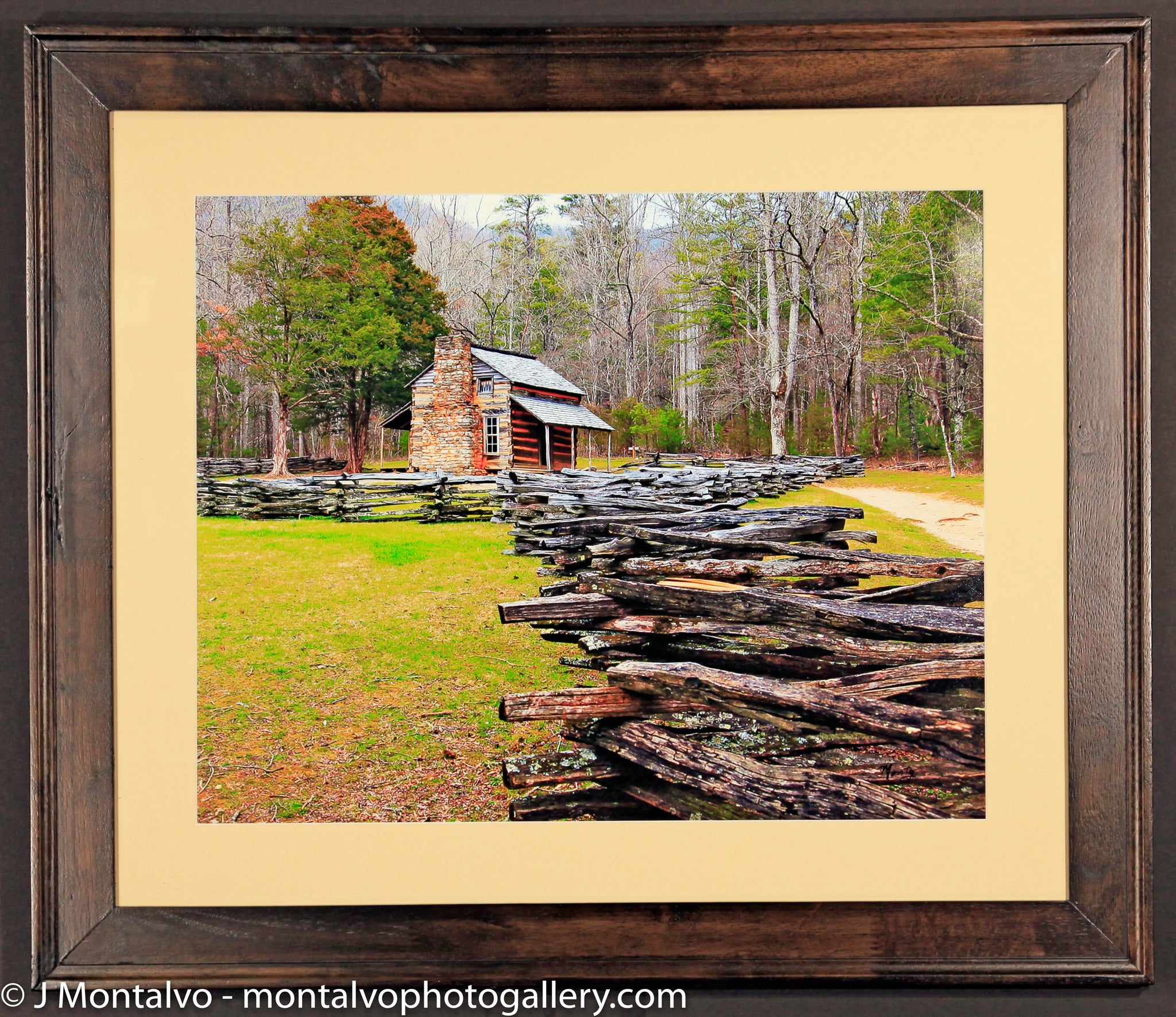 FRM0029 - John Oliver Cabin, Cades Cove, Tennessee ...