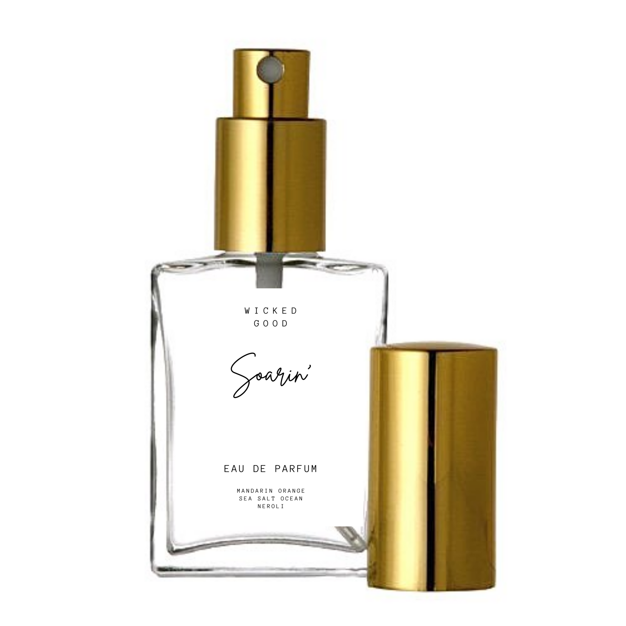 De andere dag Milieuvriendelijk bloemblad Soarin' Perfume | Top 10 Disney World Scents | Magical Fragrance Samples -  Wicked Good Perfume