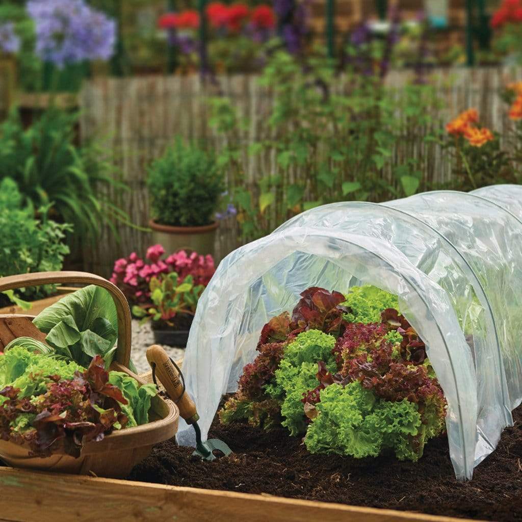 https://cdn.shopify.com/s/files/1/2527/6328/products/gardman-grow-it-polythene-grow-tunnel-propagation-tunnels-28381689511991.jpg?v=1628083238