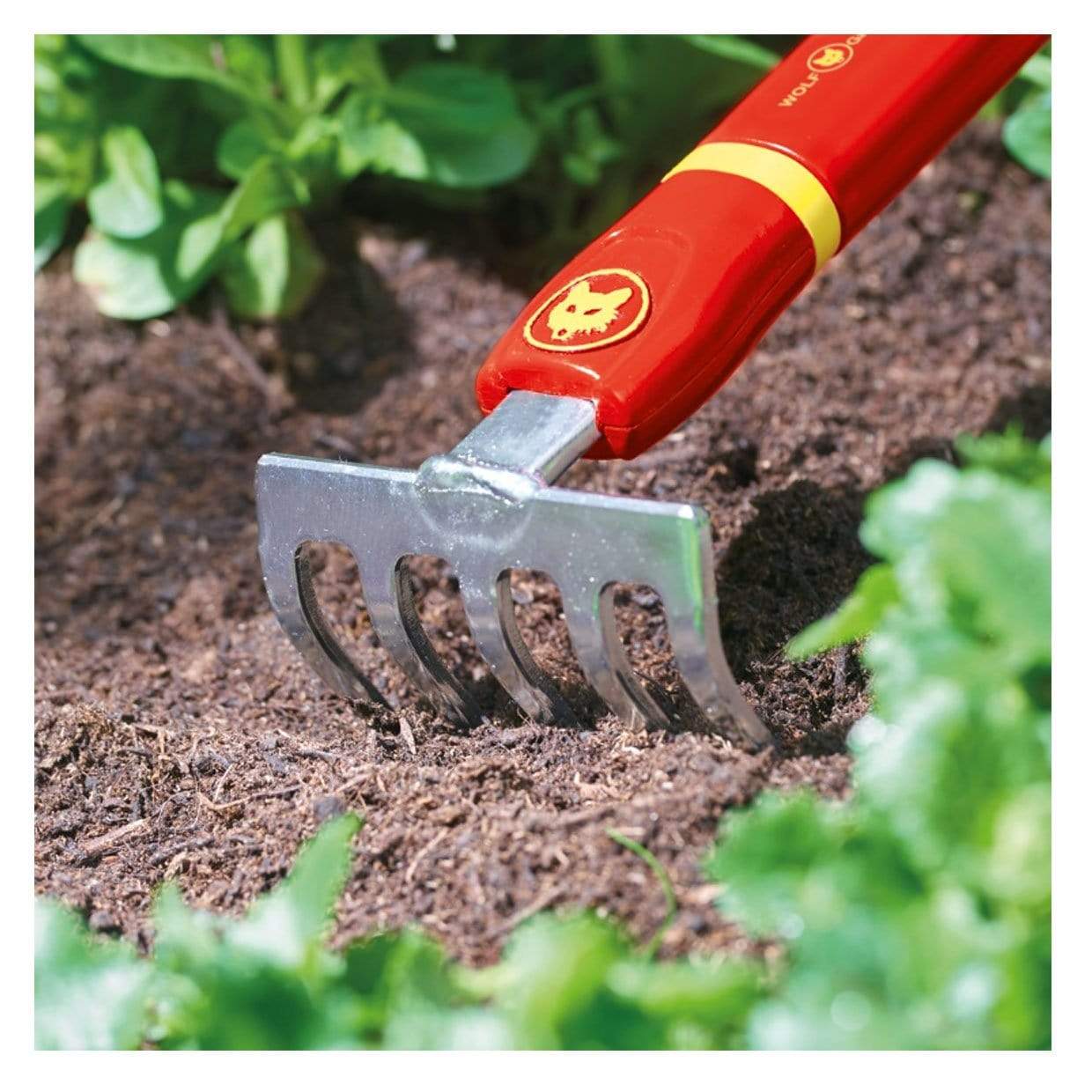 Wolf Garten - Multi Change Garden Tools – Trowell Garden Centre