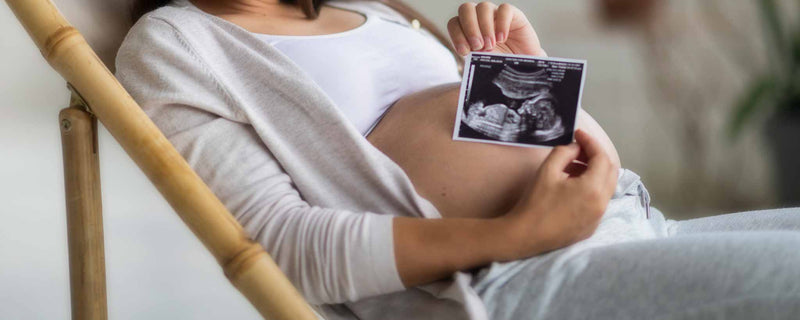 Pregnant female holding ultrasound photo