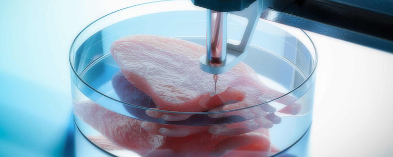 Bioprinting heart in petri dish (ai)