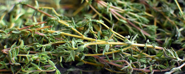 Fresh thyme leaves