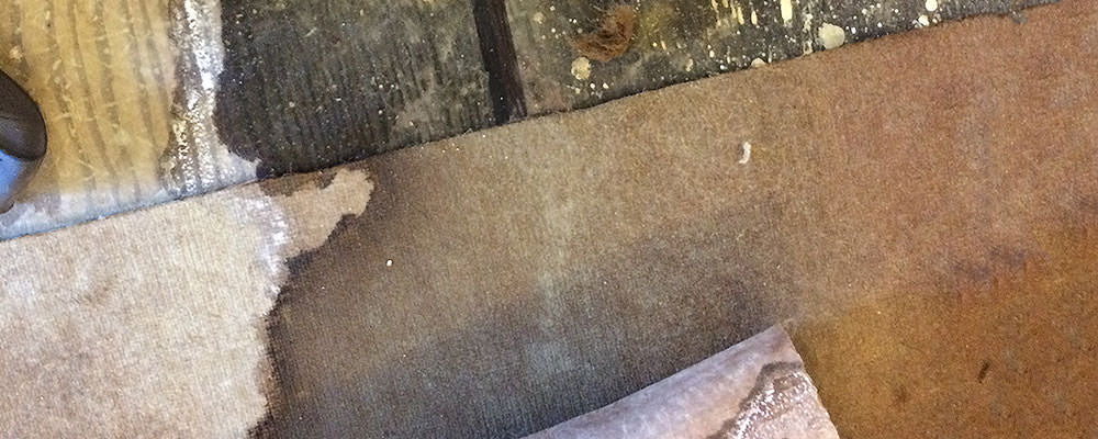 Moldy floorboard causes illness