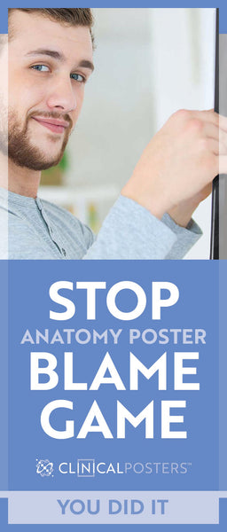 How To Buy Exam Room Anatomy Posters Without Being Blamed For It