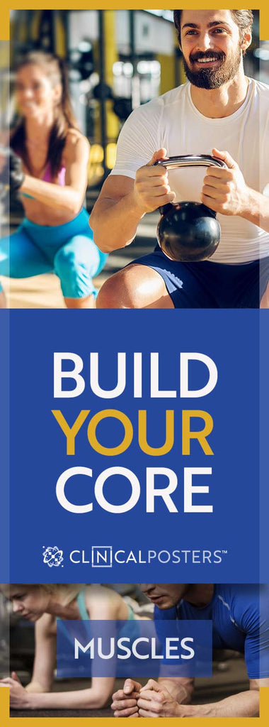 Build Your Core Muscles