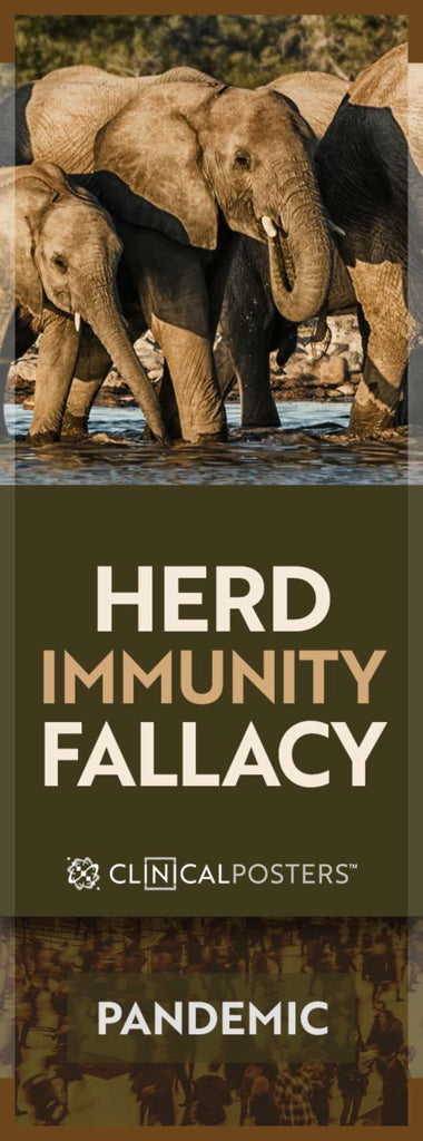 Coronavirus Herd Immunity Fallacy