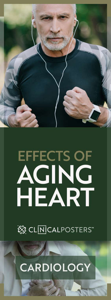 Effects of Aging Heart