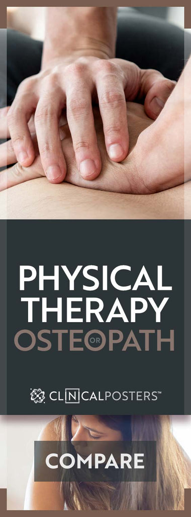 Physiotherapy or Osteopath pin