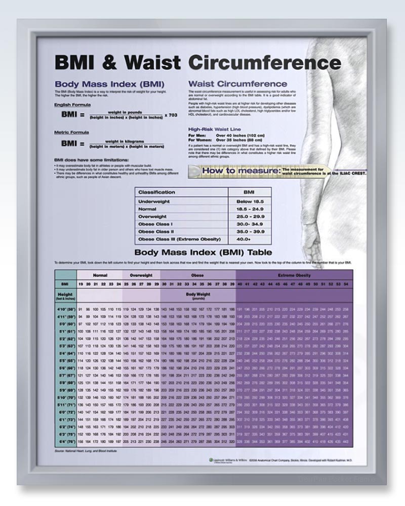 bmi v minicom