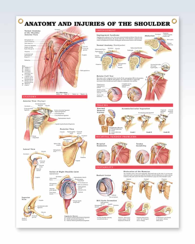 Understanding Carpal Tunnel Syndrome Chart