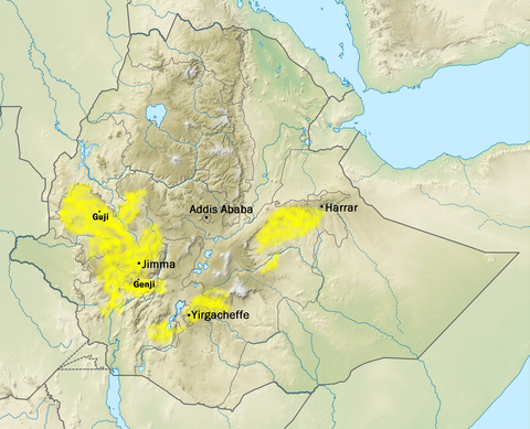 coffee growing regions of Ethiopia